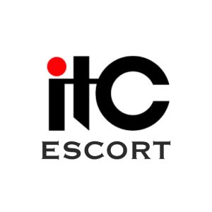 Логотип ITC-Escort