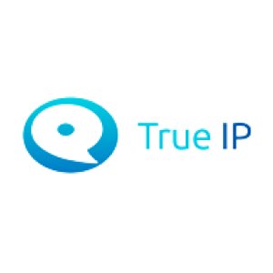 Логотип True-IP