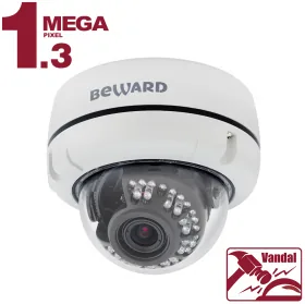 B1510DV. Видеокамера IP купольная
