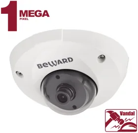 IP камера B1210DM — фото 1 из 3