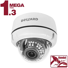 IP камера B1510DV — фото 1 из 5