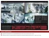 BEWARD Multiplayer — фото 3 из 6