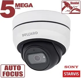 SV3212DZ. Видеокамера IP купольная