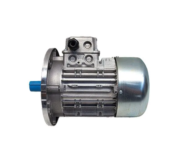 Двигатель 119RIY070