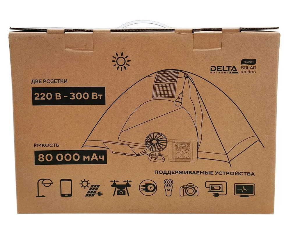 Аккумулятор DELTA Tourist P300 — фото 3 из 7