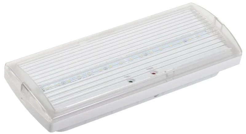 Светильник аварийный ДПА 5032-3 10-24/220В 3ч IP20 LIGHTING (LDPA1-5030-3-20-K01). Светильник аварийный постоянного действия