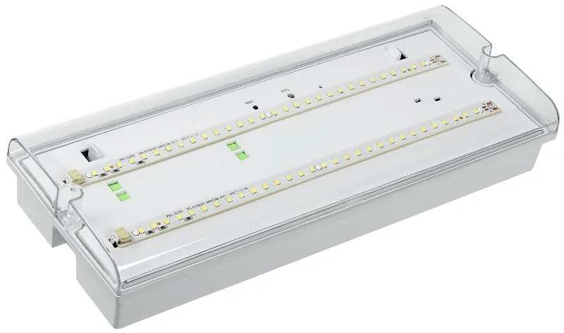 Светильник аварийный ДПА 5042-3 3ч IP65 LIGHTING (LDPA0-5042-3-65-K01). Светильник аварийный универсальный