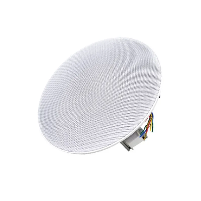 Громкоговоритель LPA-06CL22