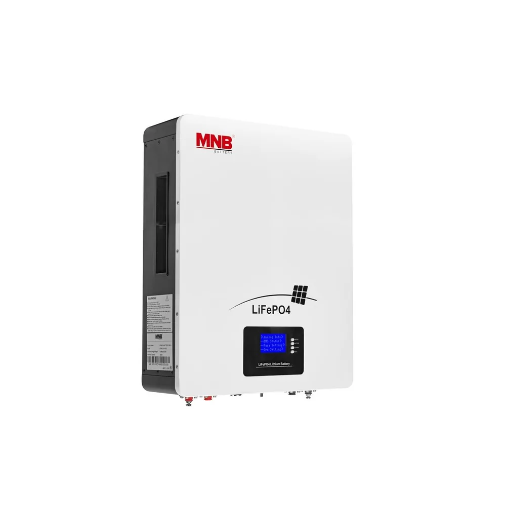 MNB Battery LFPW-51.2-100 LCD. Батарейный модуль на LiFePO4 аккумуляторах — фото 1 из 4
