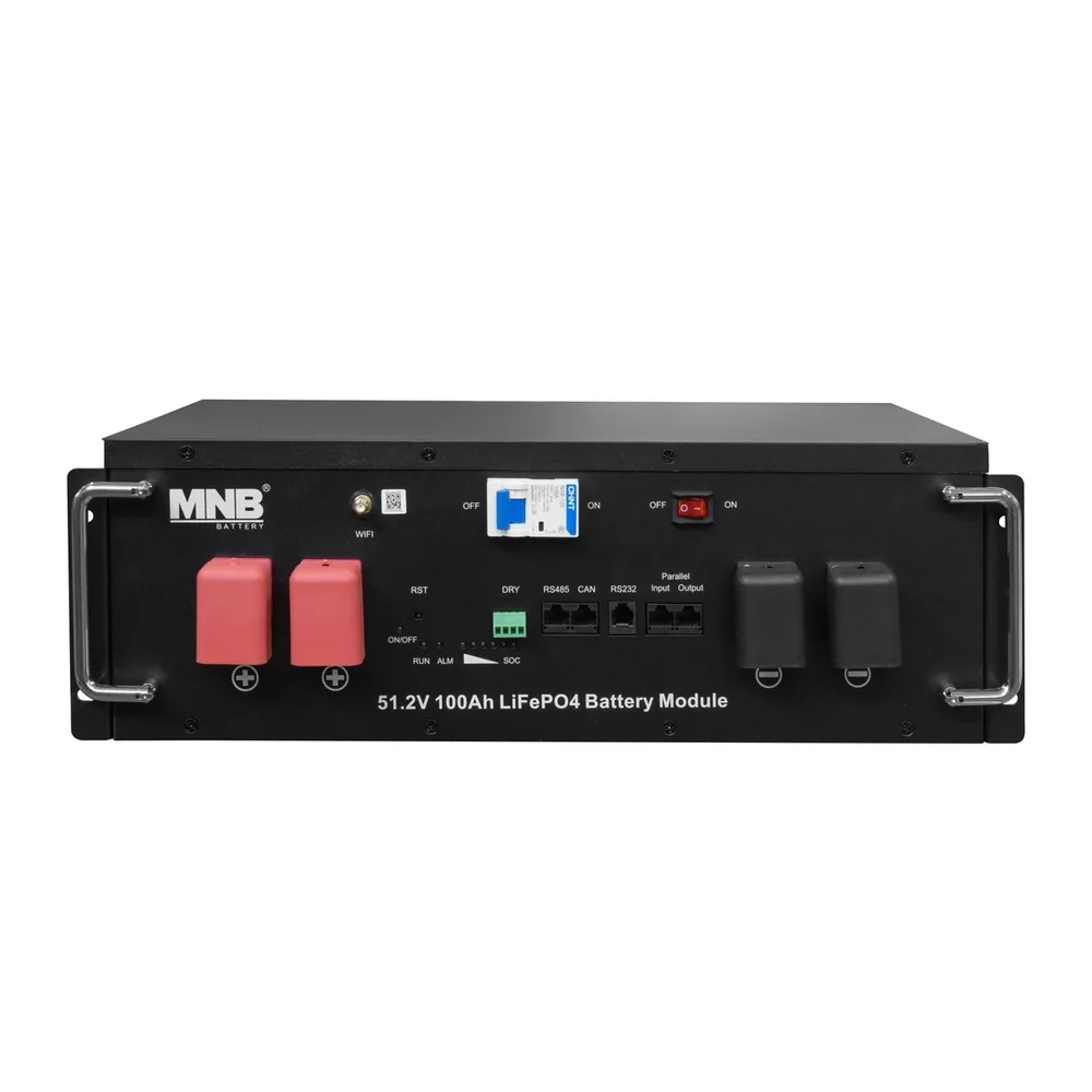 MNB Battery LPR-51.2-100 LCD Touch. Батарейный модуль на LiFePO4 аккумуляторах — фото 2 из 4