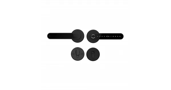 Home Fast BLACK умный замок для апартаментов и домохозяйств