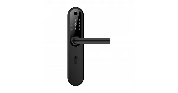Home Plus BLACK умный замок для апартаментов и домохозяйств