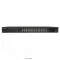 SW-24G4SF-L2 — фото 2 из 6