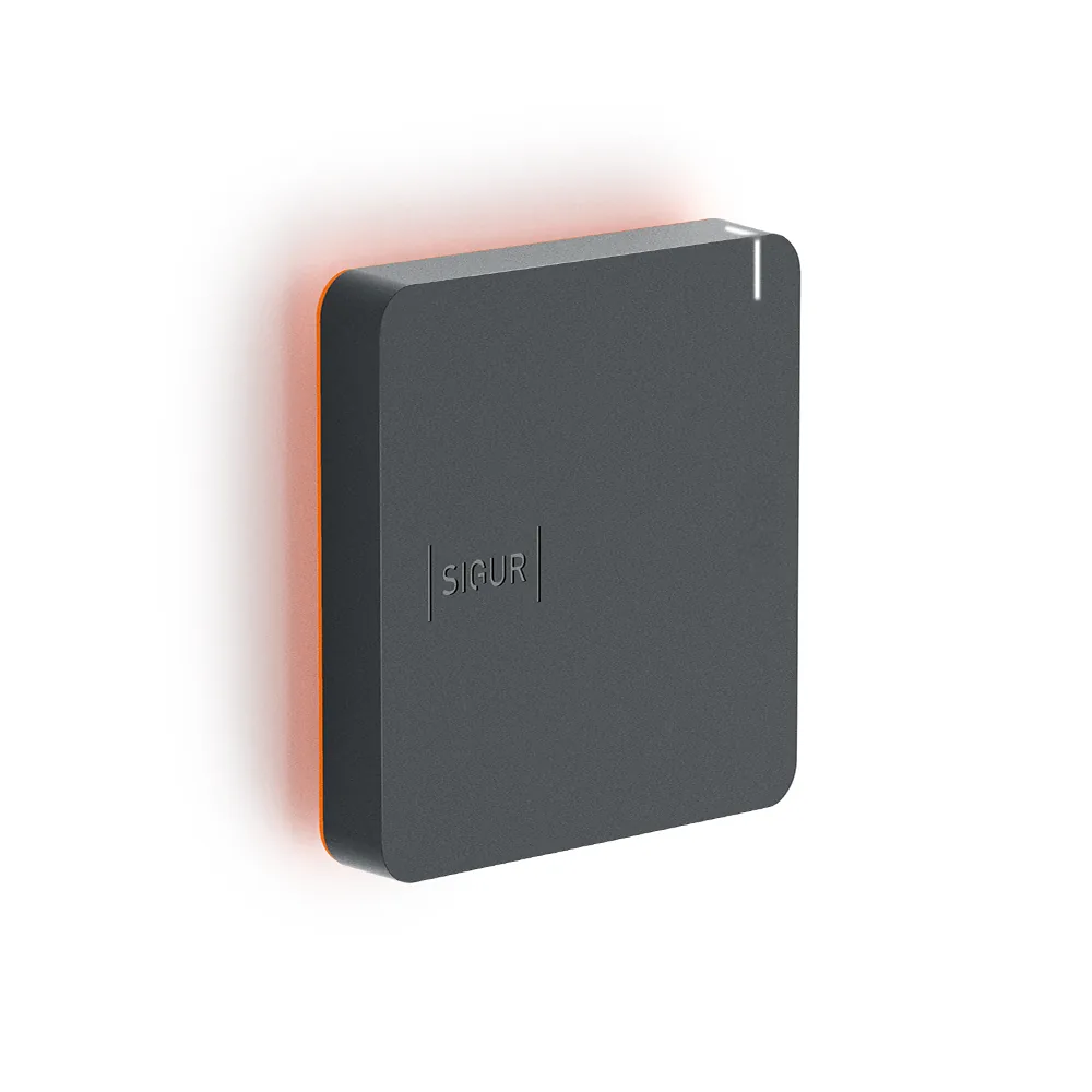 Sigur MR100 v.2 — фото 2 из 2