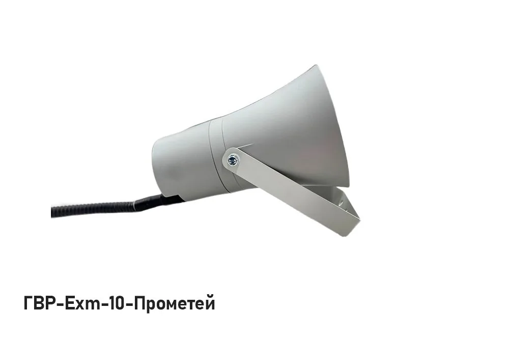 Громкоговоритель ГВР-Exm-10-Прометей — фото 2 из 3