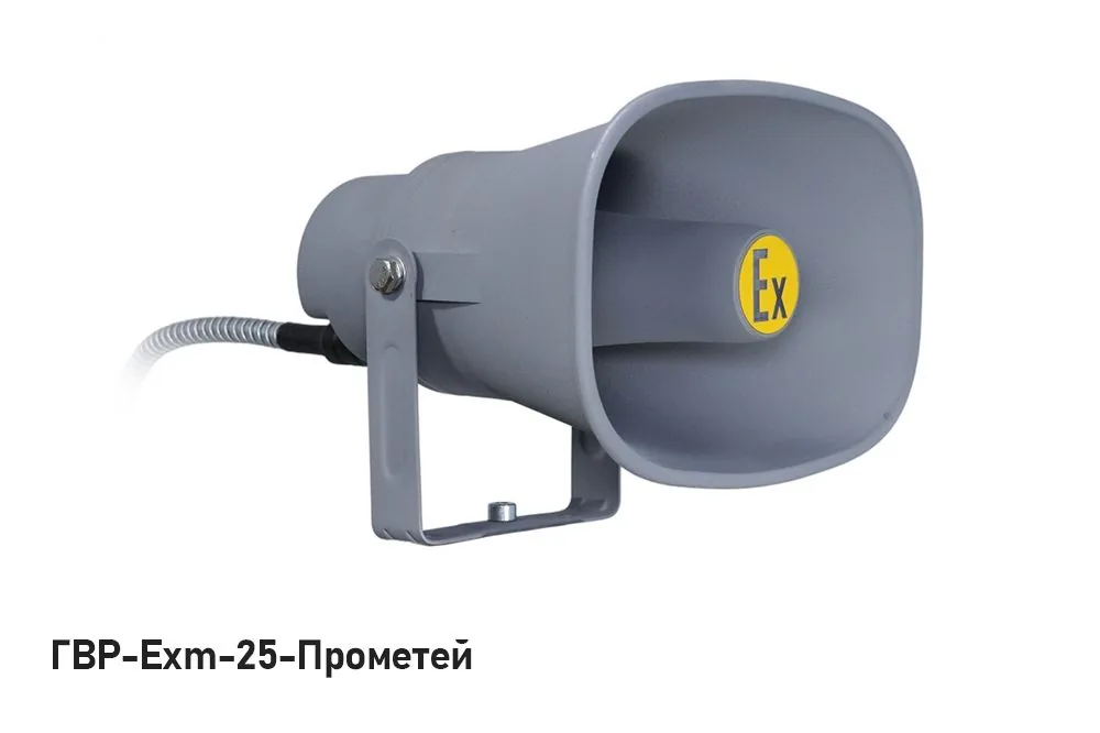 Громкоговоритель ГВР-Exm-25-Прометей — фото 4 из 4
