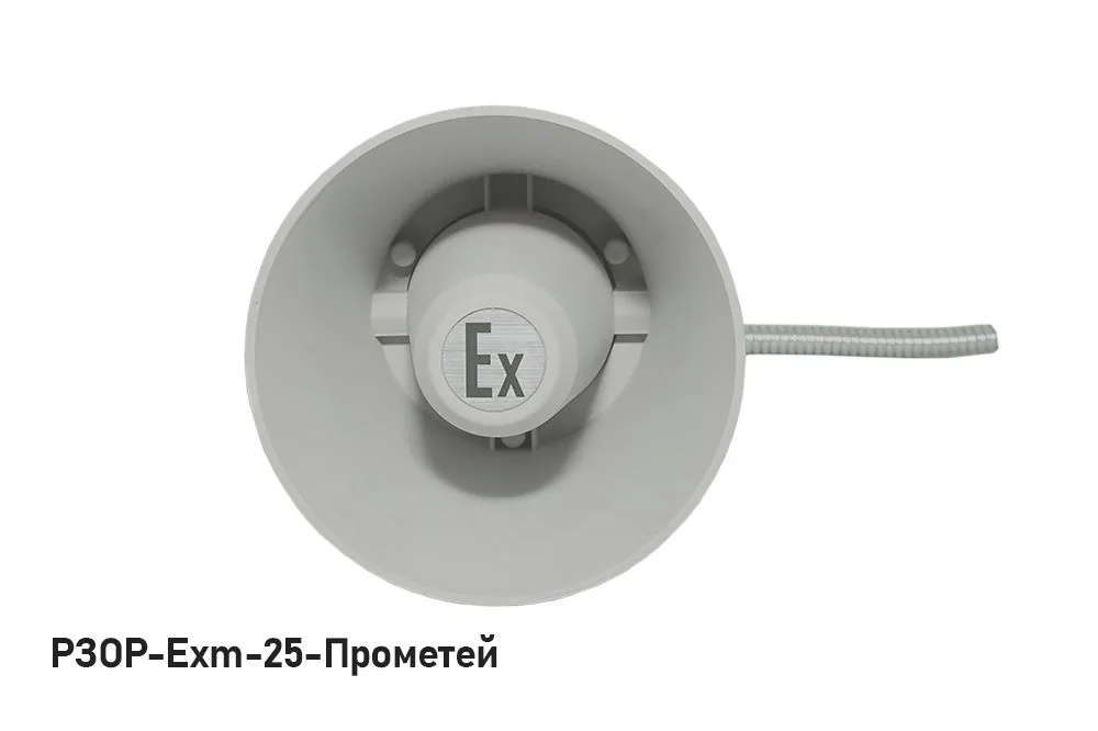 Оповещатель пожарный речевой РЗОР-Exm-25-Прометей — фото 1 из 3