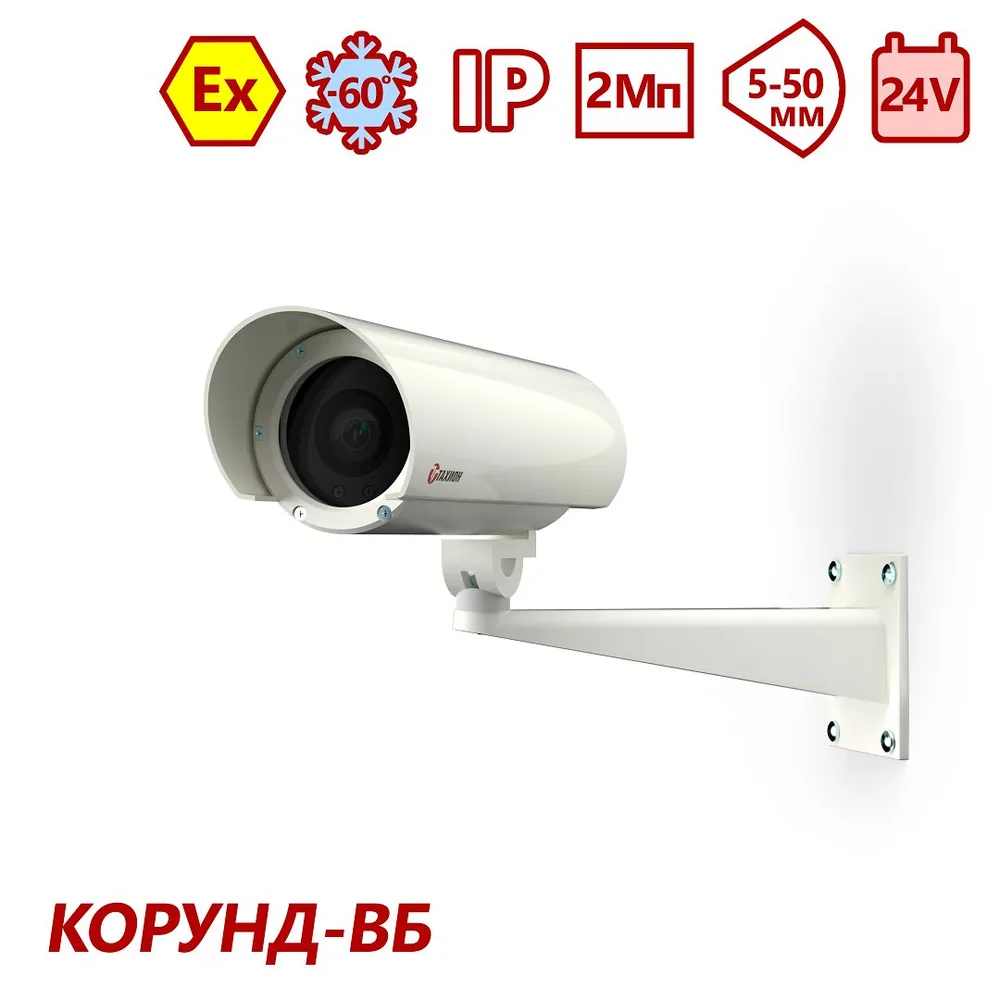 Видеокамера IP ТВК-61IP-4МВБ-V550-24VDC 10116 — фото 1 из 4